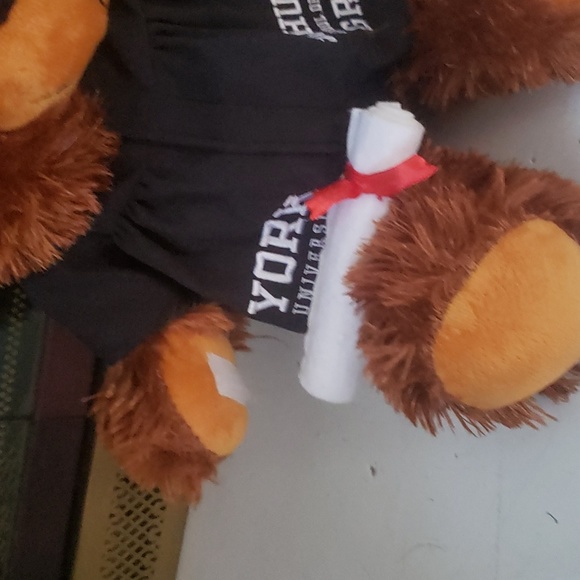 🎓 Graduation from York University 🧸 teddy bear FREE DELIVERY - Picture 4 of 5